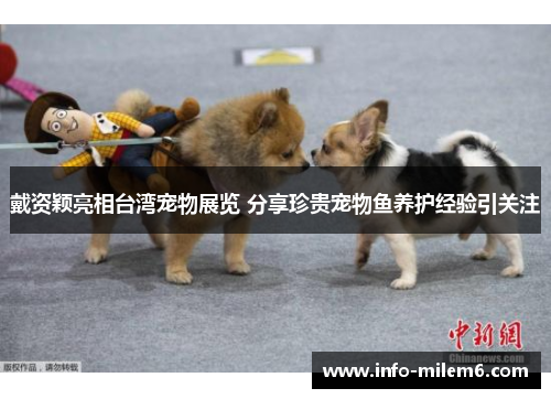 戴资颖亮相台湾宠物展览 分享珍贵宠物鱼养护经验引关注