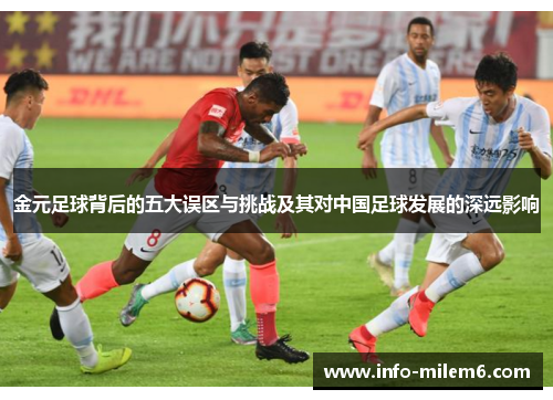 金元足球背后的五大误区与挑战及其对中国足球发展的深远影响