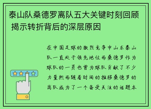泰山队桑德罗离队五大关键时刻回顾 揭示转折背后的深层原因