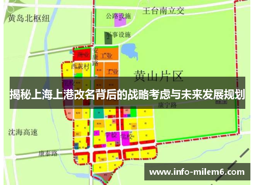 揭秘上海上港改名背后的战略考虑与未来发展规划