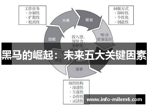 黑马的崛起：未来五大关键因素