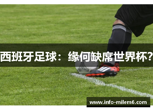 西班牙足球：缘何缺席世界杯？