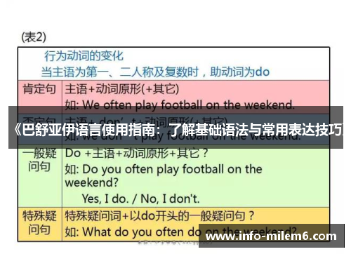 《巴舒亚伊语言使用指南：了解基础语法与常用表达技巧》
