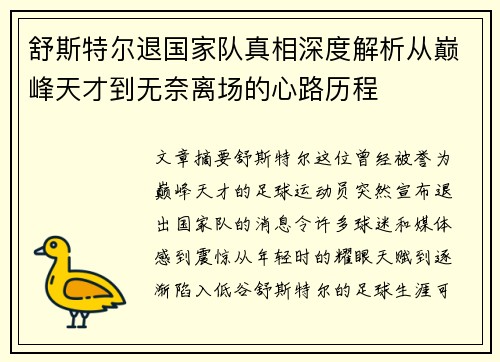 舒斯特尔退国家队真相深度解析从巅峰天才到无奈离场的心路历程