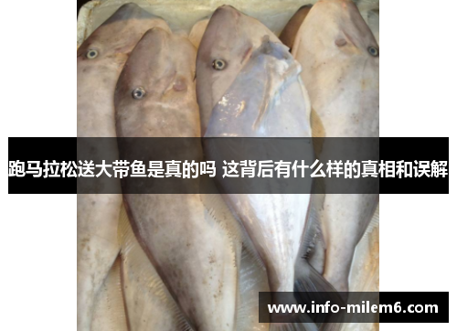 跑马拉松送大带鱼是真的吗 这背后有什么样的真相和误解